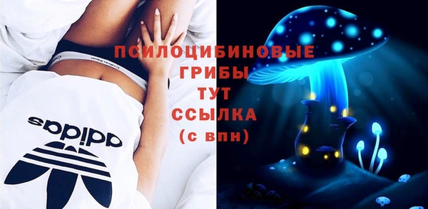 эйфоретик Абаза