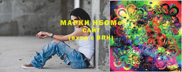 ешки Алексин