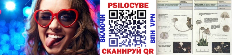 Галлюциногенные грибы Magic Shrooms  закладка  Тогучин 